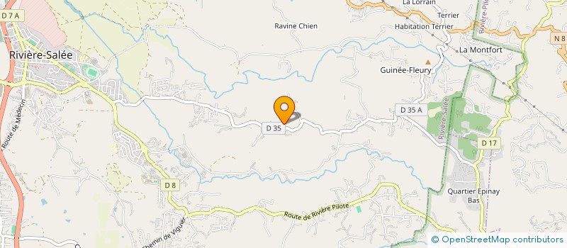 localisation de l'entreprise MONSIEUR FRED LEBON  RIVIERE-SALEE