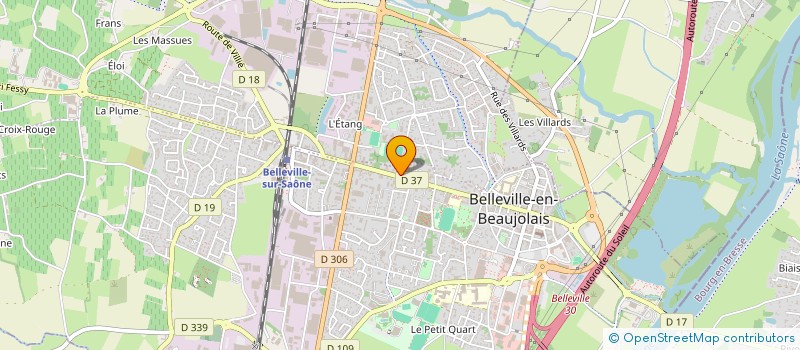 localisation de l'entreprise MONSIEUR FREDDY BIN  BELLEVILLE-EN-BEAUJOLAIS