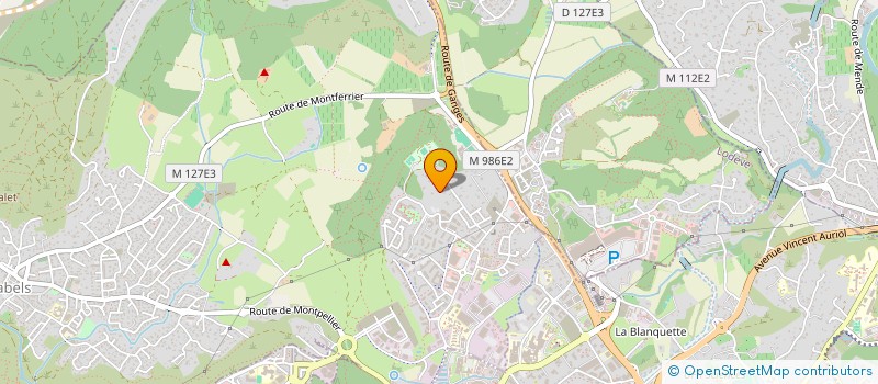 localisation de l'entreprise MONSIEUR FREDERIC ANDRIEUX  GRABELS