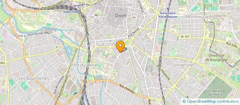 localisation de l'entreprise MONSIEUR FREDERIC BARRAUX à DIJON