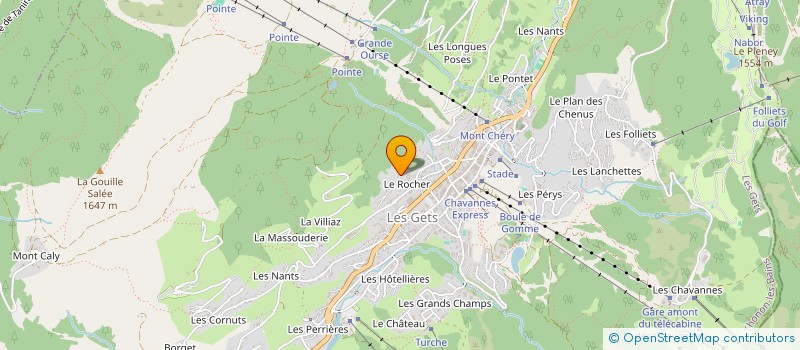 localisation de l'entreprise MONSIEUR FREDERIC BOIDIN  LES GETS