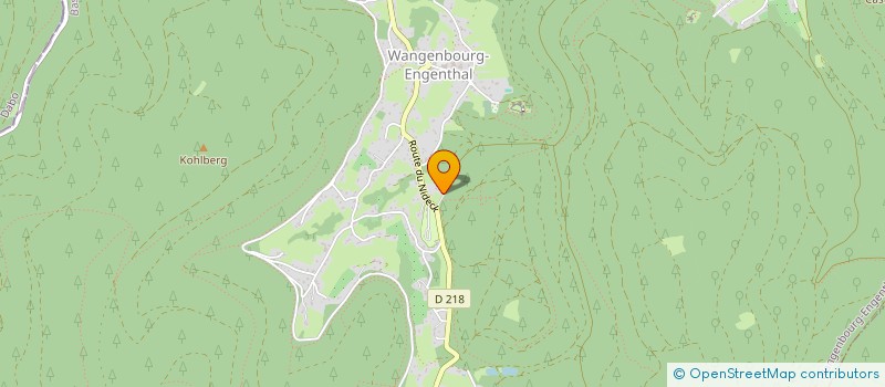 localisation de l'entreprise MONSIEUR FREDERIC BORGER  WANGENBOURG-ENGENTHAL