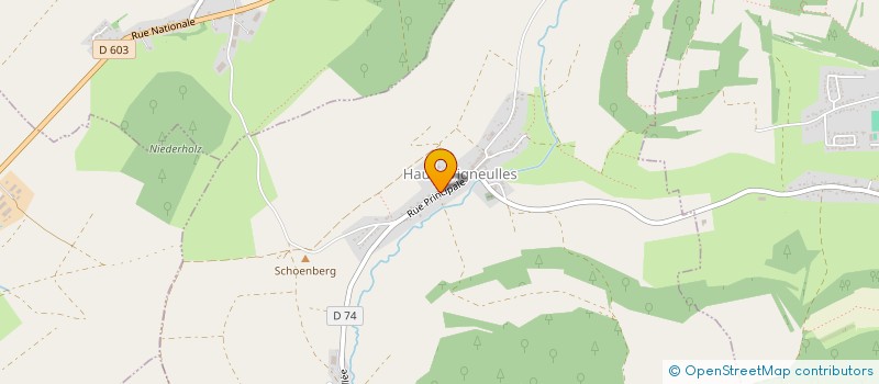 localisation de l'entreprise MONSIEUR FREDERIC CARME  HEMILLY