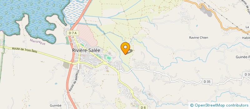 localisation de l'entreprise MONSIEUR FREDERIC DELOR à RIVIERE SALEE