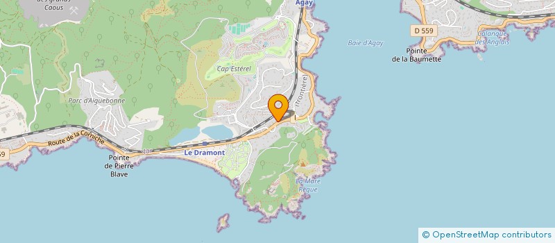 localisation de l'entreprise MONSIEUR FREDERIC DOSSETTI  SAINT-RAPHAEL