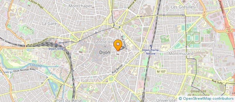 localisation de l'entreprise MONSIEUR FREDERIC DRIEY à DIJON
