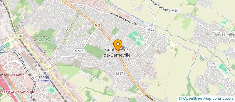 localisation de l'entreprise MONSIEUR FREDERIC FERNANDEZ  SAINT-ORENS-DE-GAMEVILLE