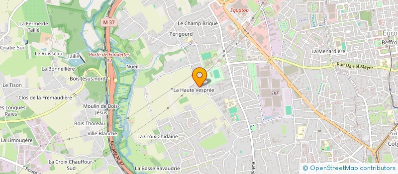 localisation de l'entreprise MONSIEUR FREDERIC FLONER  SAINT-CYR-SUR-LOIRE