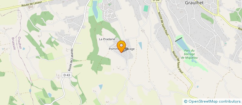 localisation de l'entreprise MONSIEUR FREDERIC FORT  GRAULHET