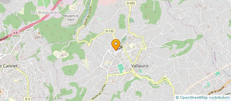 localisation de l'entreprise MONSIEUR FREDERIC GAVAUDAN à VALLAURIS