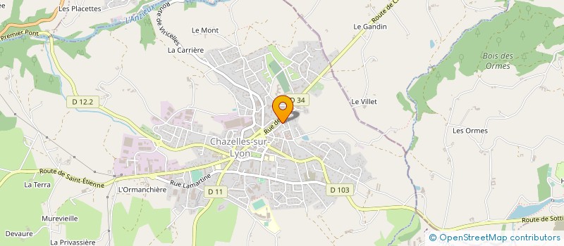 localisation de l'entreprise MONSIEUR FREDERIC GEORGES à CHAZELLES-SUR-LYON