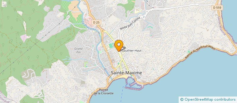 localisation de l'entreprise MONSIEUR FREDERIC LABONTE à SAINTE-MAXIME