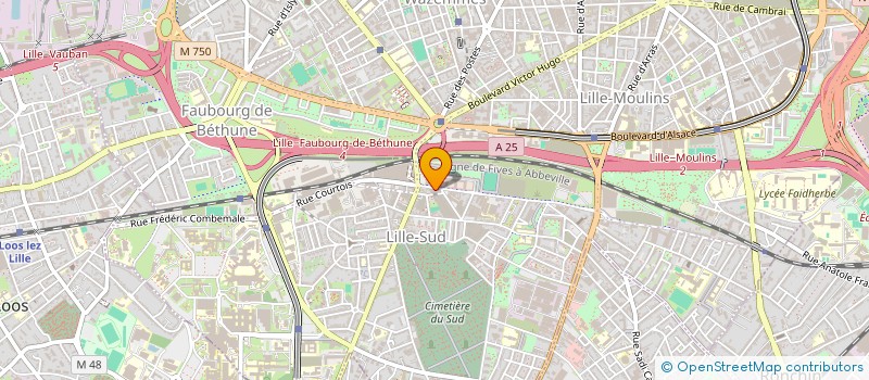 localisation de l'entreprise MONSIEUR FREDERIC LAMOUROUX à LILLE