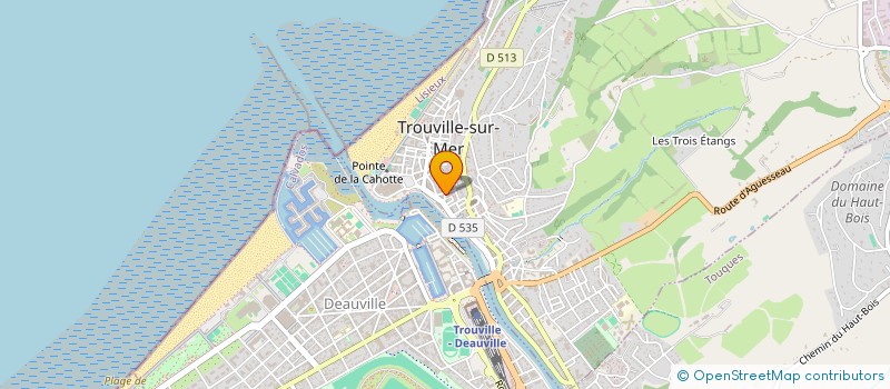 localisation de l'entreprise MONSIEUR FREDERIC LECLERC à TROUVILLE-SUR-MER