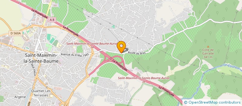 localisation de l'entreprise MONSIEUR FREDERIC LEYDET PLAUCHU à SAINT-MAXIMIN-LA-SAINTE-BAUME