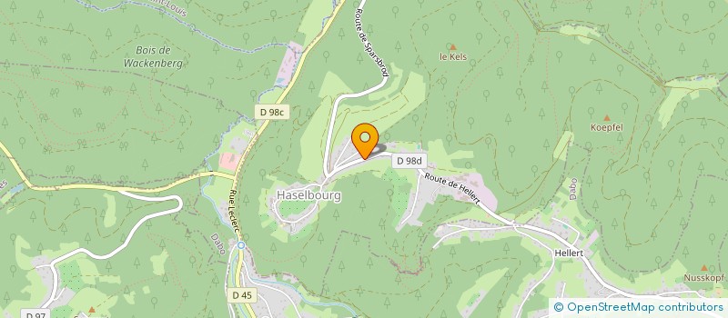 localisation de l'entreprise MONSIEUR FREDERIC MACHETANZ  HASELBOURG