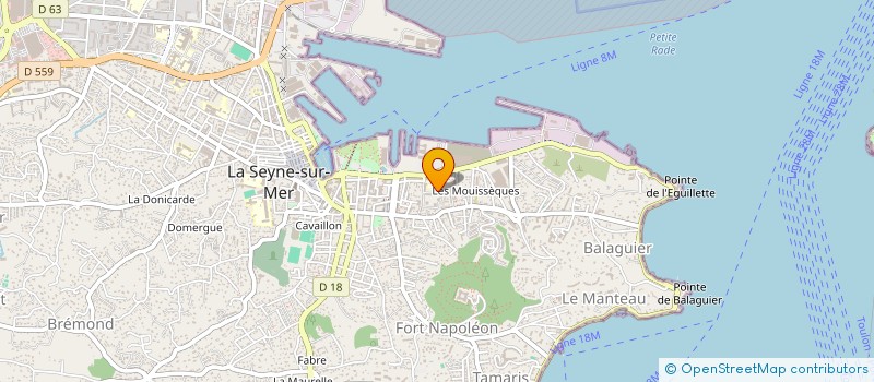 localisation de l'entreprise MONSIEUR FREDERIC MATHIOT à LA SEYNE-SUR-MER