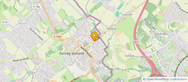 localisation de l'entreprise MONSIEUR FREDERIC MATTEI à FERNEY-VOLTAIRE
