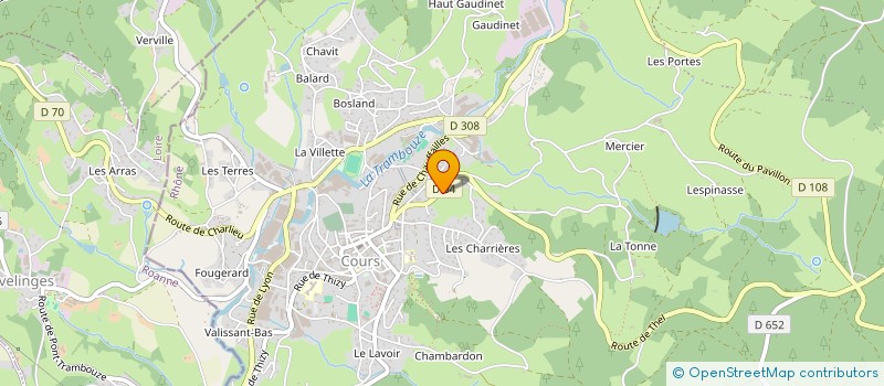 localisation de l'entreprise MONSIEUR FREDERIC MERMILLON à COURS