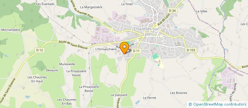 localisation de l'entreprise MONSIEUR FREDERIC MICHALET  CHAZELLES-SUR-LYON