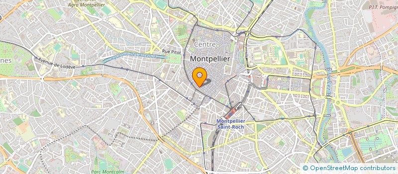 localisation de l'entreprise MONSIEUR FREDERIC MIKALE MI MOUSSOUNDE à MONTPELLIER
