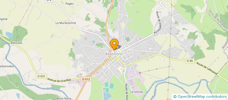 localisation de l'entreprise MONSIEUR FREDERIC MOUTOUSSAMY  REALMONT