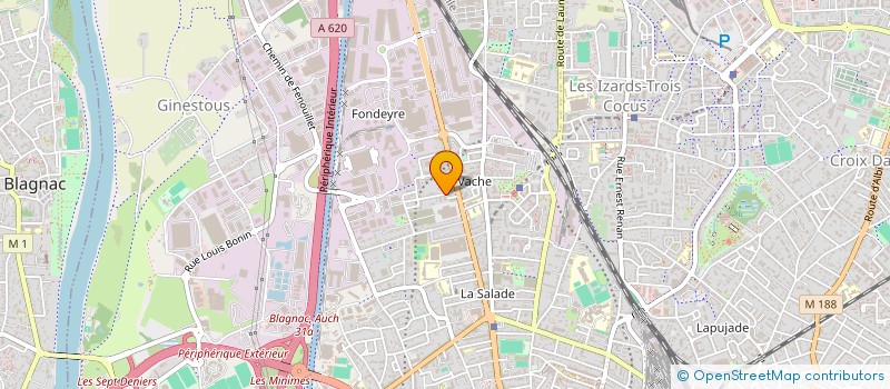 localisation de l'entreprise MONSIEUR FREDERIC PEREIRA DE REZENDE à TOULOUSE