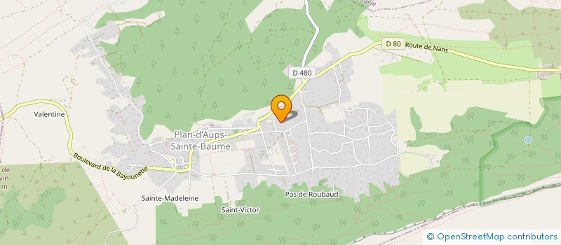 localisation de l'entreprise MONSIEUR FREDERIC PONTY  PLAN D'AUPS SAINTE BAUME