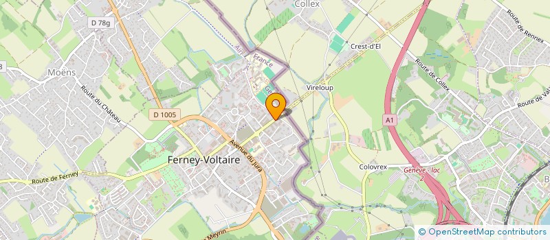 localisation de l'entreprise MONSIEUR FREDERIC ROBERT LEONI à FERNEY-VOLTAIRE