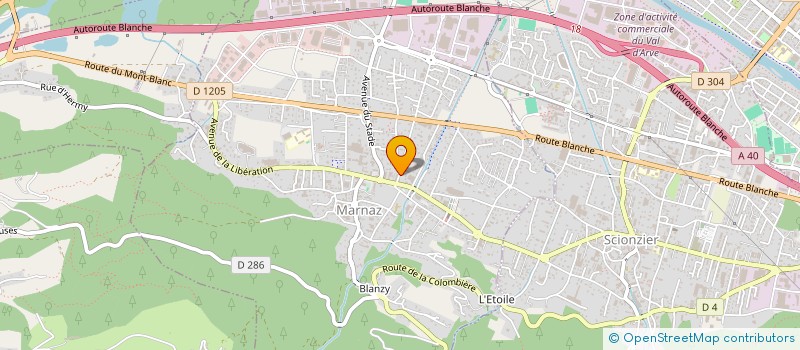 localisation de l'entreprise MONSIEUR FREDERIC SPICHER  MARNAZ