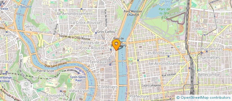 localisation de l'entreprise MONSIEUR FREDERIC SUBRA à LYON