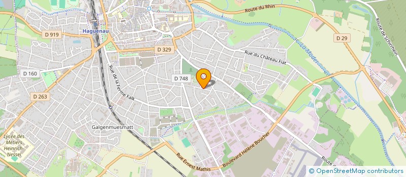 localisation de l'entreprise MONSIEUR FREDERIC TEIXEIRA LOPES  HAGUENAU