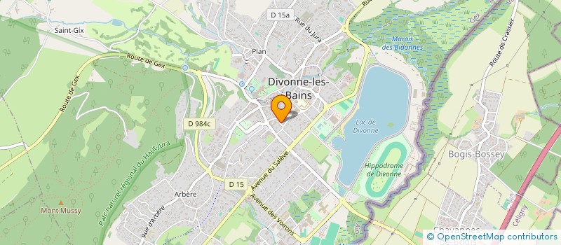 localisation de l'entreprise MONSIEUR FREDERIC VITTET  DIVONNE-LES-BAINS