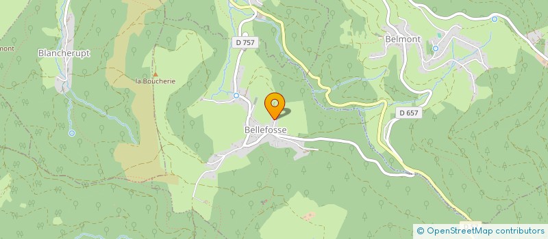 localisation de l'entreprise MONSIEUR FREDERIC WEBER  BELLEFOSSE