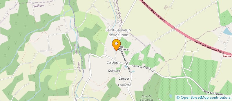 localisation de l'entreprise MONSIEUR FREDERICO DO CARMO GOMES DA SILVA  SAINT-SAUVEUR-DE-MEILHAN
