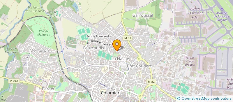 localisation de l'entreprise MONSIEUR GABRIEL GODARD à COLOMIERS