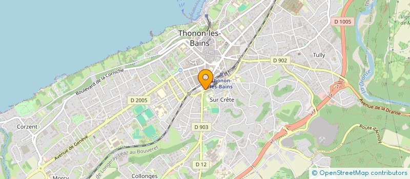 localisation de l'entreprise MONSIEUR GABRIEL IONITA à THONON-LES-BAINS