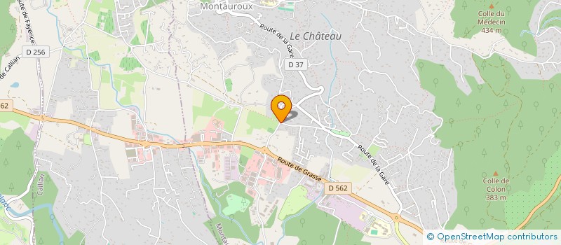 localisation de l'entreprise MONSIEUR GABRIEL MAGAIL  MONTAUROUX