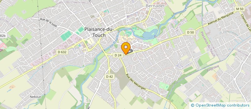 localisation de l'entreprise MONSIEUR GABRIEL MICHELANGELI  PLAISANCE-DU-TOUCH