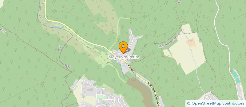 localisation de l'entreprise MONSIEUR GABRIEL NINFEI  MOYEUVRE-PETITE