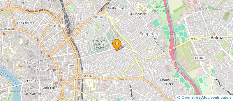 localisation de l'entreprise MONSIEUR GABRIEL SAINT-MARTIN  TOULOUSE