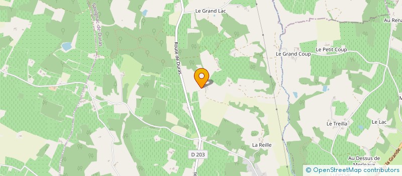 localisation de l'entreprise MONSIEUR GAEL BRIDONNEAU  LEVIGNAC-DE-GUYENNE