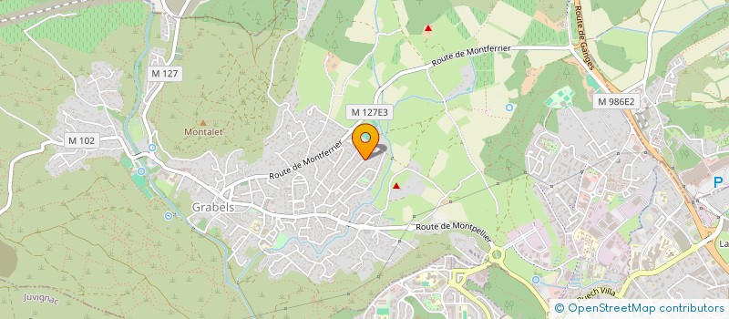 localisation de l'entreprise MONSIEUR GAEL CHANTE  GRABELS