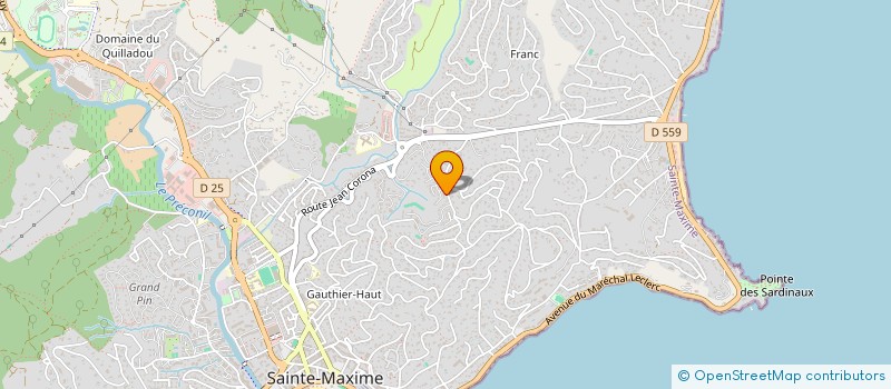 localisation de l'entreprise MONSIEUR GAEL GRECH à SAINTE-MAXIME