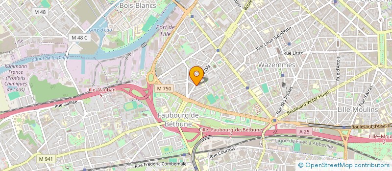 localisation de l'entreprise MONSIEUR GAEL LE DOARE à LILLE
