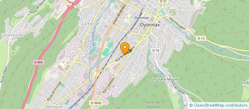 localisation de l'entreprise MONSIEUR GAEL ROQUE à OYONNAX