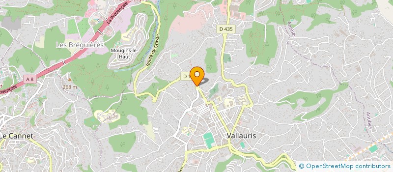 localisation de l'entreprise MONSIEUR GAETAN AIELLO  VALLAURIS