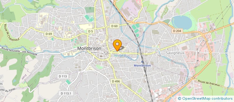 localisation de l'entreprise MONSIEUR GAETAN ROUCHOUZE  MONTBRISON