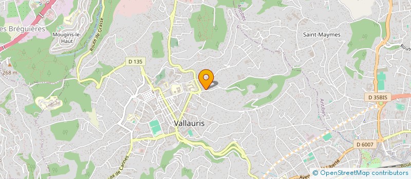 localisation de l'entreprise MONSIEUR GARETH EVANS  VALLAURIS