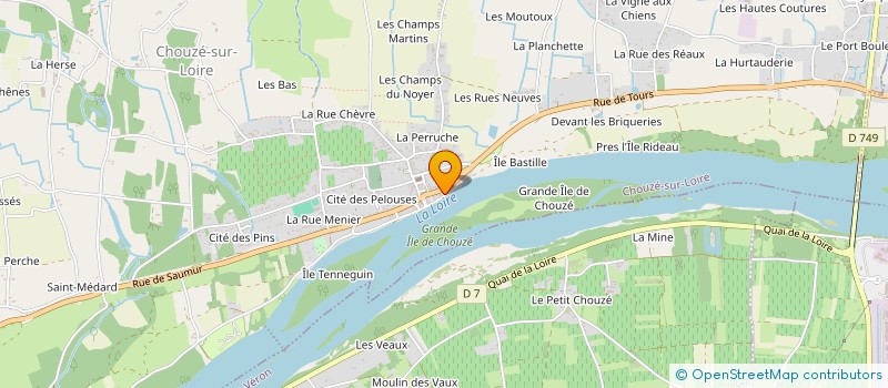 localisation de l'entreprise MONSIEUR GAUTHIER DUMONT  CHOUZE-SUR-LOIRE